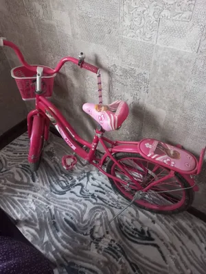 Qizlar uchun bolalar velosipedi 1