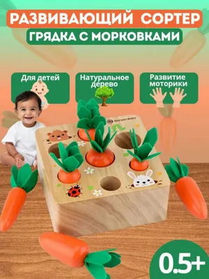 Игрушка для малышей: деревянный сортёр «Морковь» по Монтессори 1