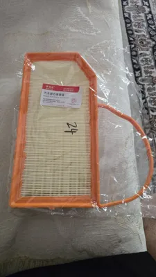 Viyax free uchun havo filtri 1