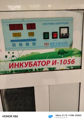 Инкубатор 1