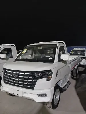 Changan Start Plus 2026, длина 3,30 м, B 1