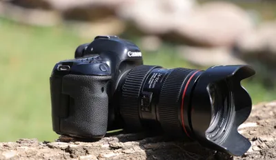 Canon EOS 5D Mark IV + 24-105mm f/4L IS II USM 1