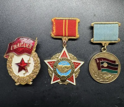 Нагрудные знаки СССР 1