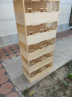 Bedanaga qafaslar sotiladi 1