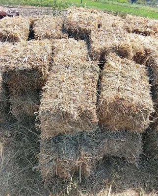 Пресс Ут сотилади 1
