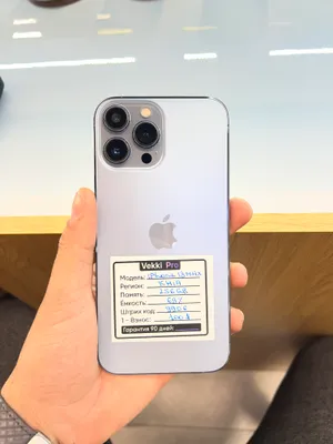 iPhone 13 Pro Max 1
