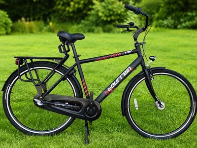 Shahar velosipedi TOURREIN 28 (Shimano Nexus 3) 1