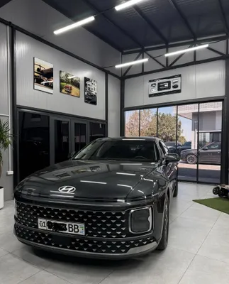 Hyunadi Grandeur 1