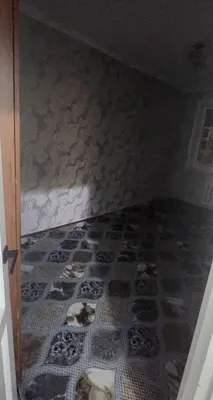 Chilonzor (turar joy majmuasi)dagi 4 xonali kvartira 1