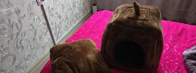 Домик лежанка для кошек или собак 1