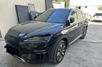BYD Song chempion 1