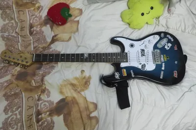 Elektr gitara 1