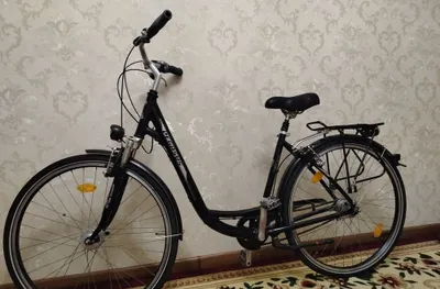 germanskiy velosiped 1
