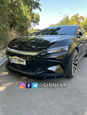 Заводская юбка byd Han