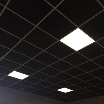Ecophon Industry Black plitalari 1200x600x30 mm