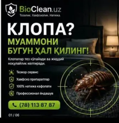 Дезинфекция, дезинсекция, дератизация 1