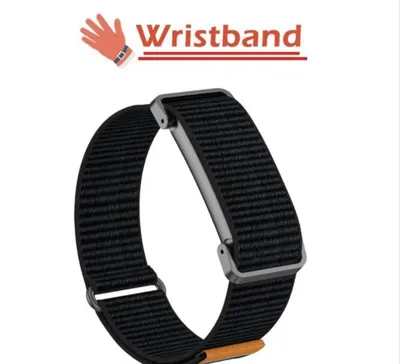 Google Fitbit Air tasmasi 1