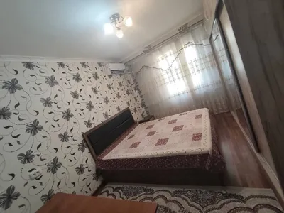 Квартира, жильё 1