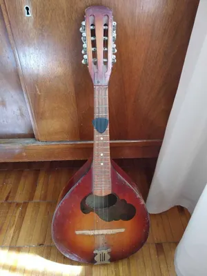 Paxtali qavilgan telogreyka, 3 dona, yangi, har biri 95 ming 1