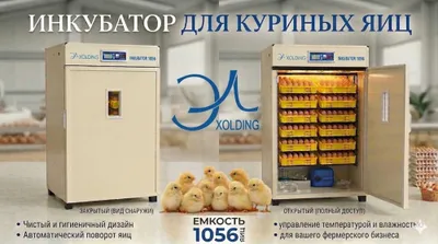 Инкубатор на 1056 яиц — профессиональный и надёжный 1