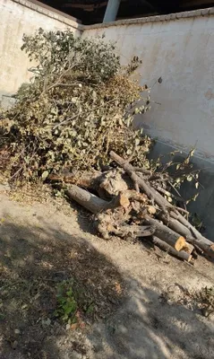 O'tin sotiladi...