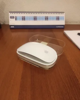 Apple Magic Mouse 1 1