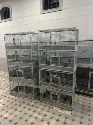 valer qafas kletka 3