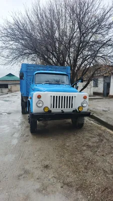 Бортовой грузовик GAZ-53 1