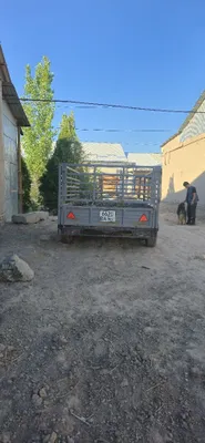 Прешип продаётся, 2025 года 1