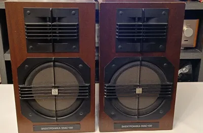 Elektronika 35AS-130 akustik karnaylari 1