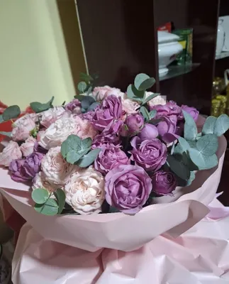 Uy va hayvonlarga qarash xizmatlarini ko‘rsataman