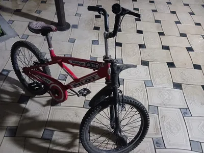 velosiped 20 1