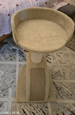 Коготочка для кошки 1