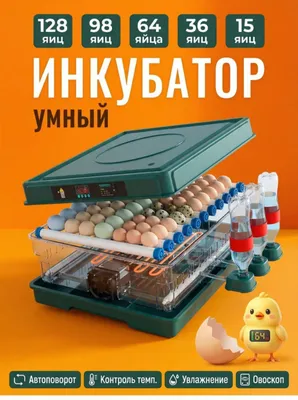 INKUBATOR (JOJA OCHIRISH UCHUN) 1