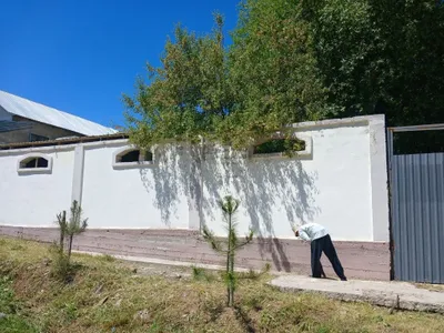 Отличный выбор для дачи 1
