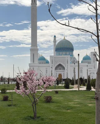 Samarkand Local Tour Guide