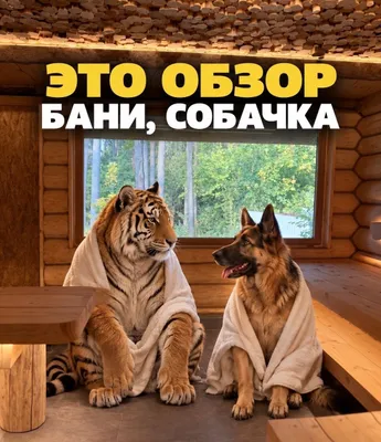 Строительство бань, финской сауны 1
