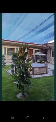 Juda qulay narxda rulonli gazon. 1