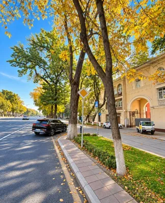 Продаётся высокопотолочная 3-комнатная квартира с ремонтом, мебелью и техникой 1