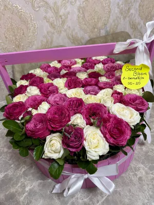 75 dona atirgul 1