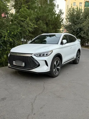 Byd song Plus 2024 г 1