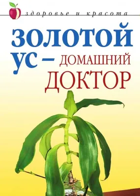 Золотой ус - домашний доктор Автор Дарья Нестерова