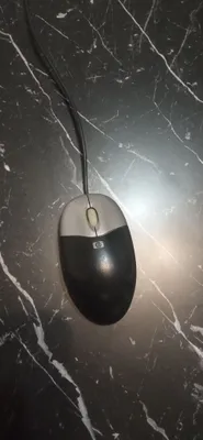 Kompyuter sichqonchasi 1