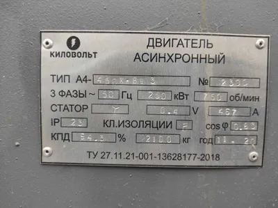 Электродвигатель А4-450Х-8У3 (250кВт, 750об/мин, 0,4кВ, IP23, IM1001) 1