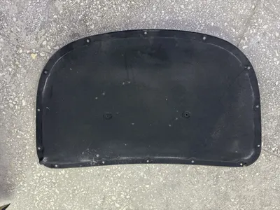 Обшивка капота Byd chazor