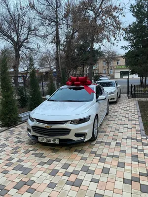 Малибу белый с красным бантом бантик бант украсим 1