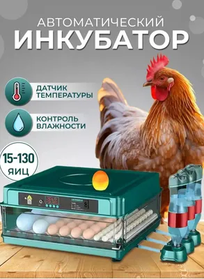 Инкубатор на 15 яиц 1