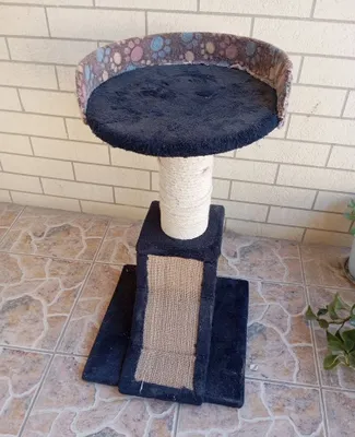 Mushuklar uchun kerak bo‘lgan hamma narsa 1