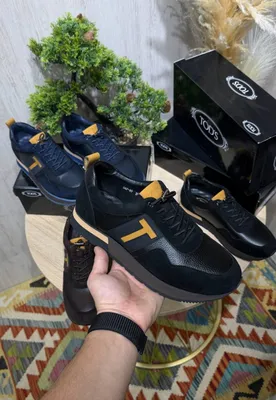 tods 1
