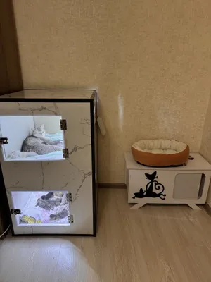 Mushuklar va mushukchalar uchun uy / tug‘ish uchun buyurtma asosida 1